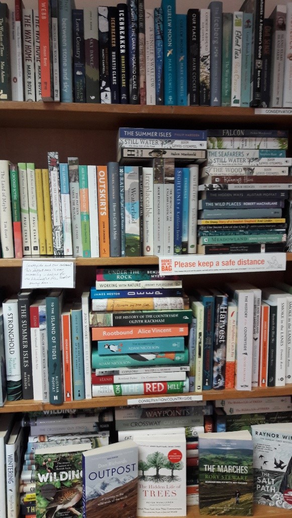 Currie road construction limited recommendation essay sample essay 04 picture